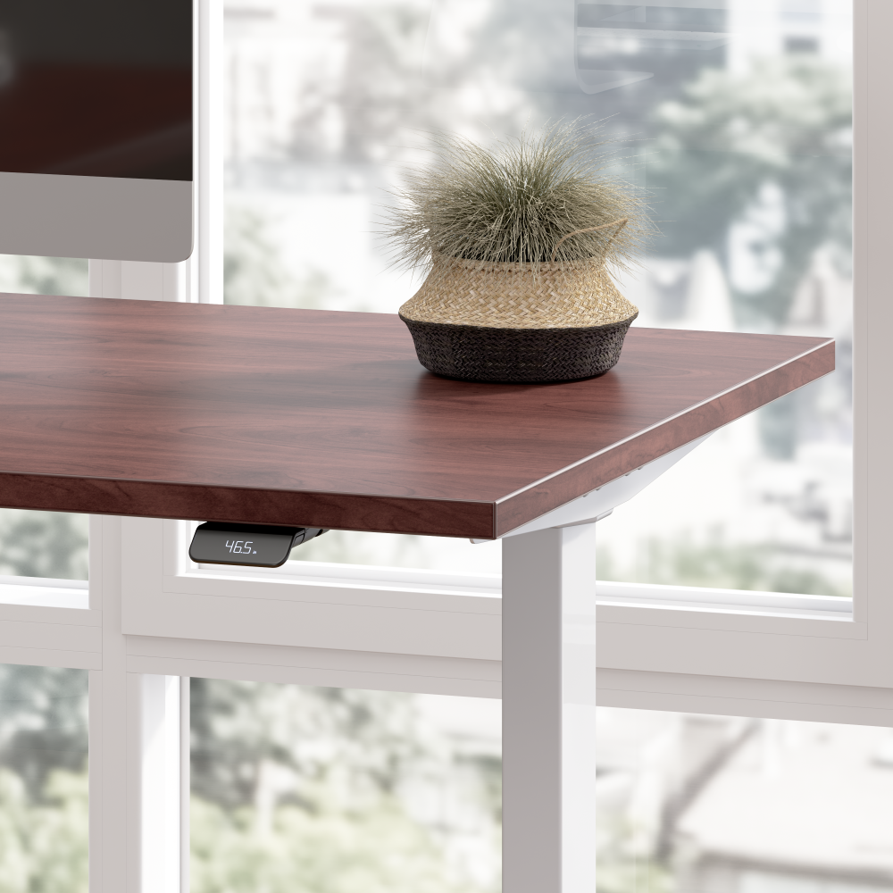 Move 60 Series 60W x 30D Electric Height Adjustable Standing Desk
