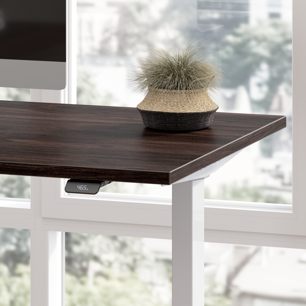 48W x 24D Height Adjustable Standing Desk
