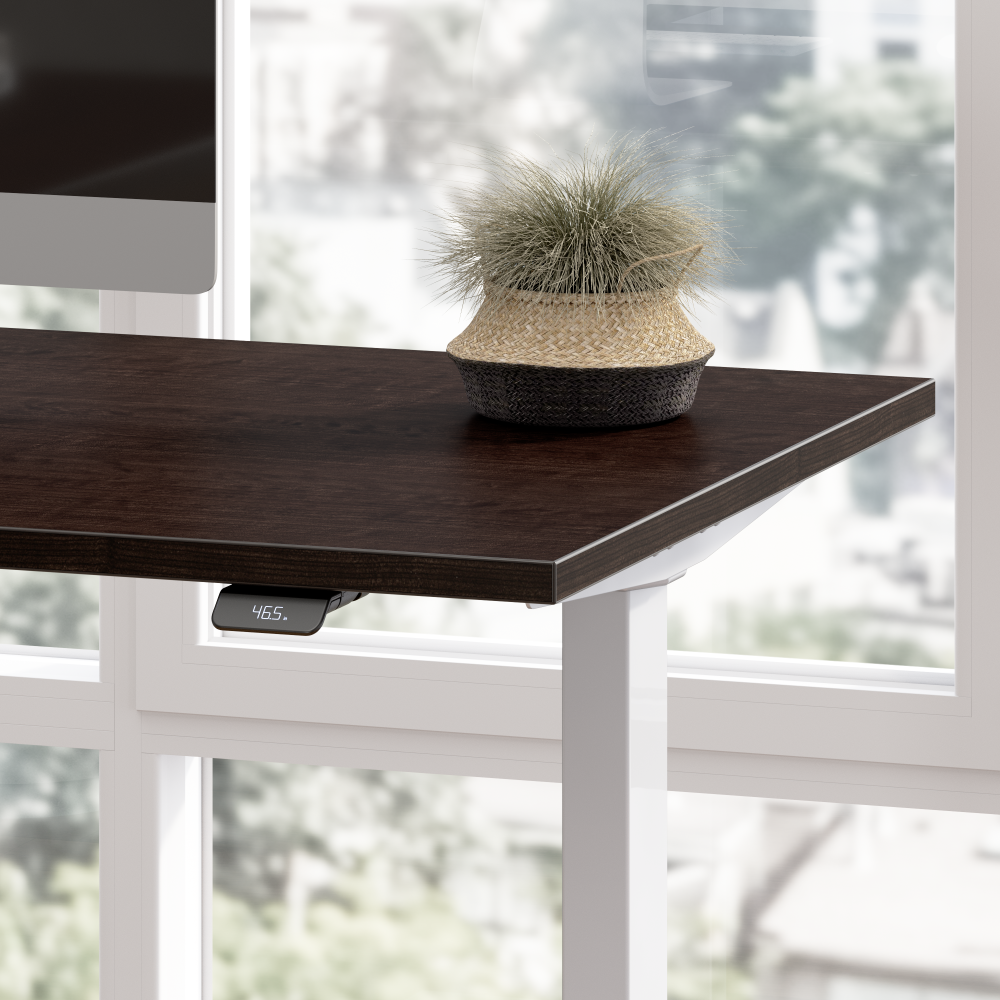 48W x 24D Height Adjustable Standing Desk